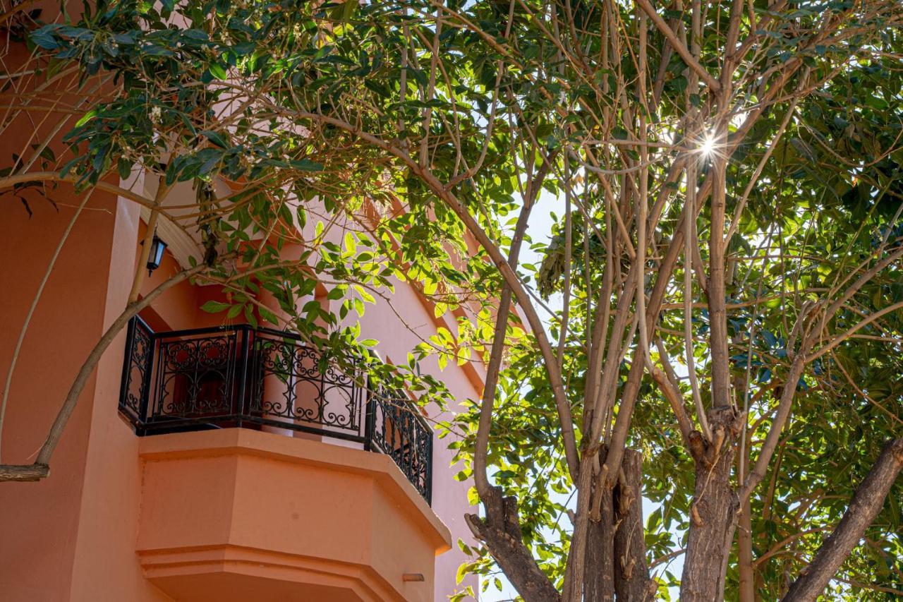 Las Palmeras Guest House Douar Caïd Layadi Exteriér fotografie