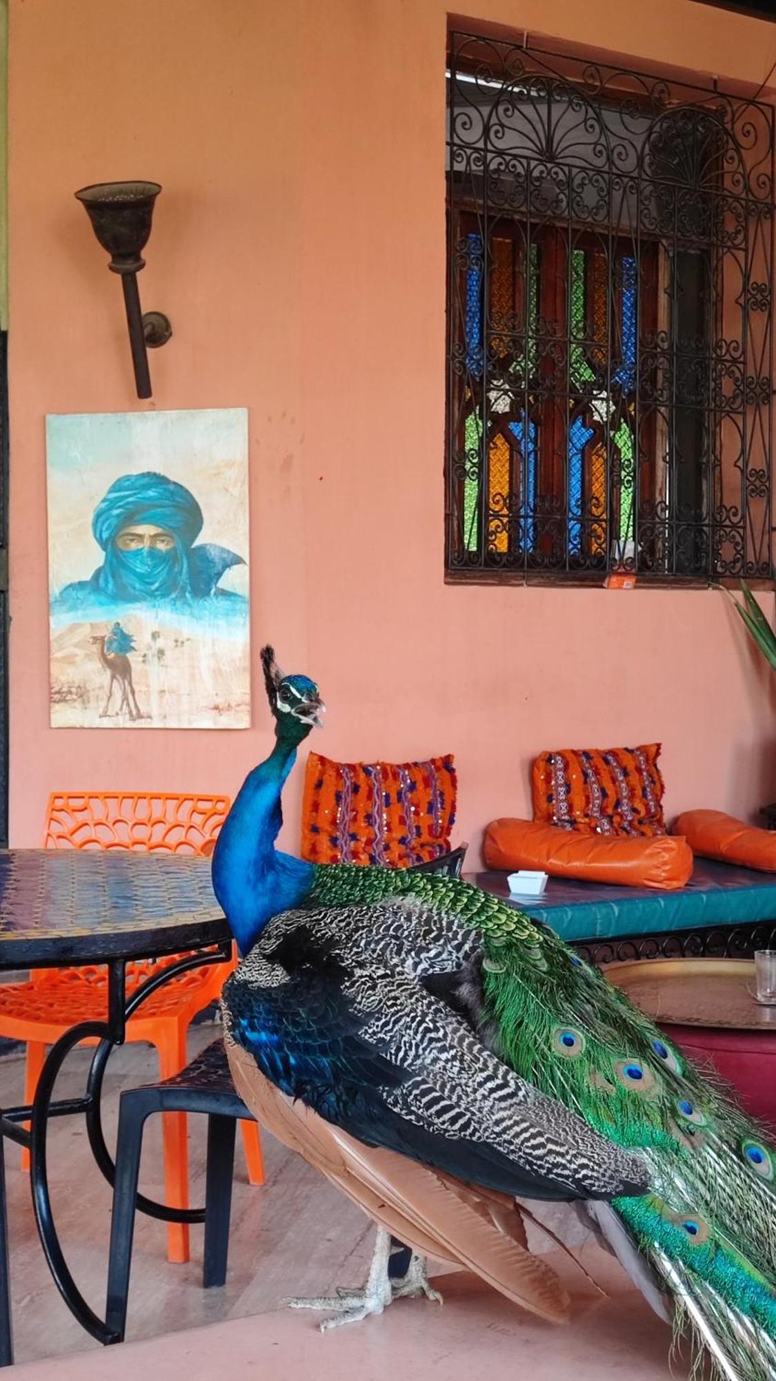 Las Palmeras Guest House Douar Caïd Layadi Exteriér fotografie